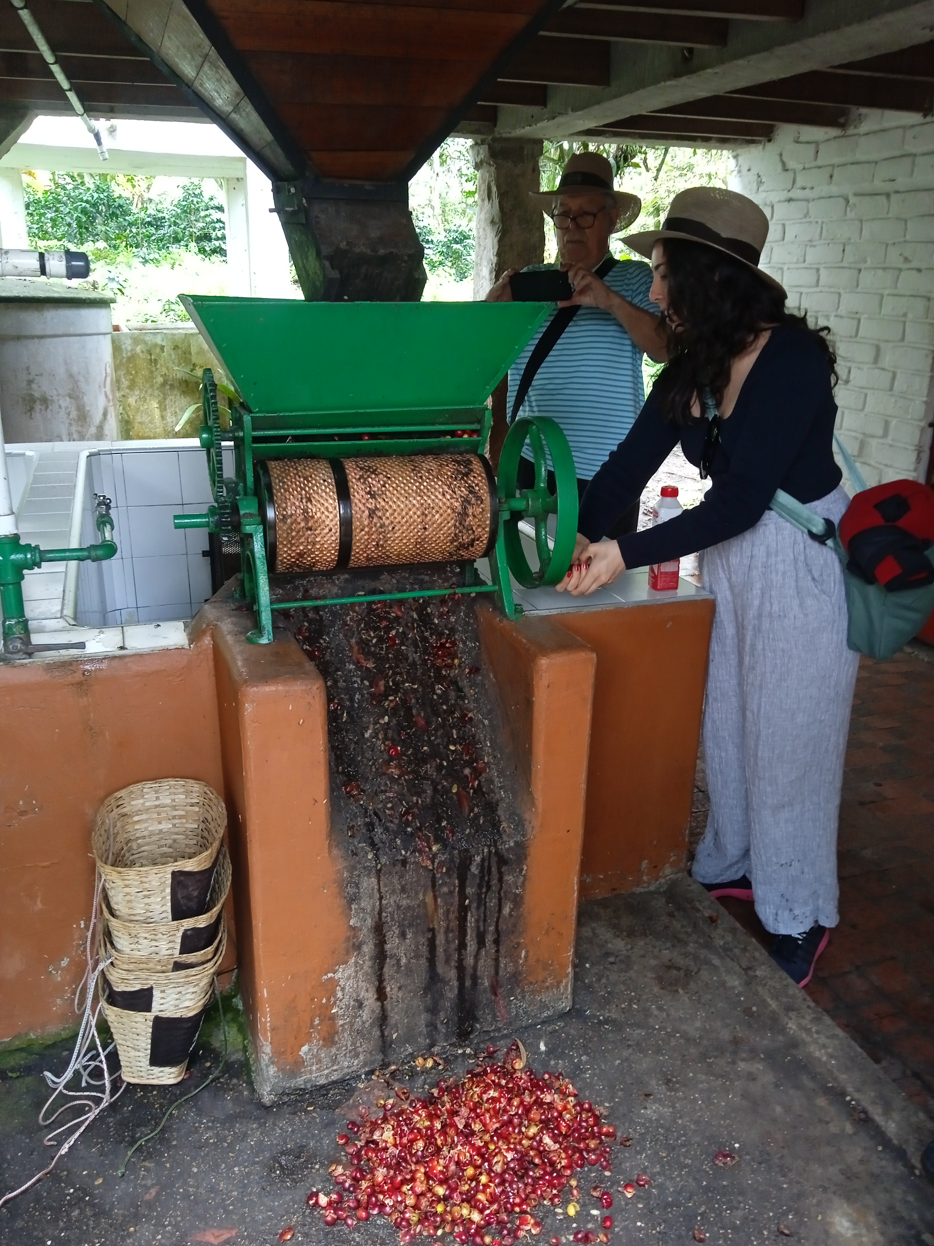 Hacienda Cafetera Coloma